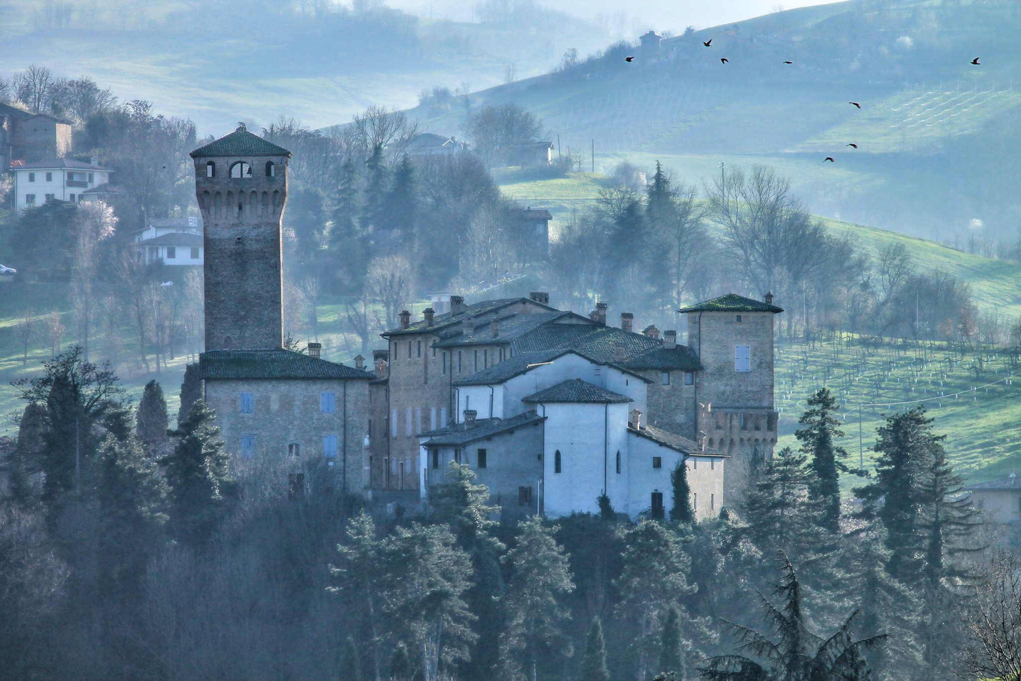 foto: Castello Levizzano_33_Monica Montanari.jpg