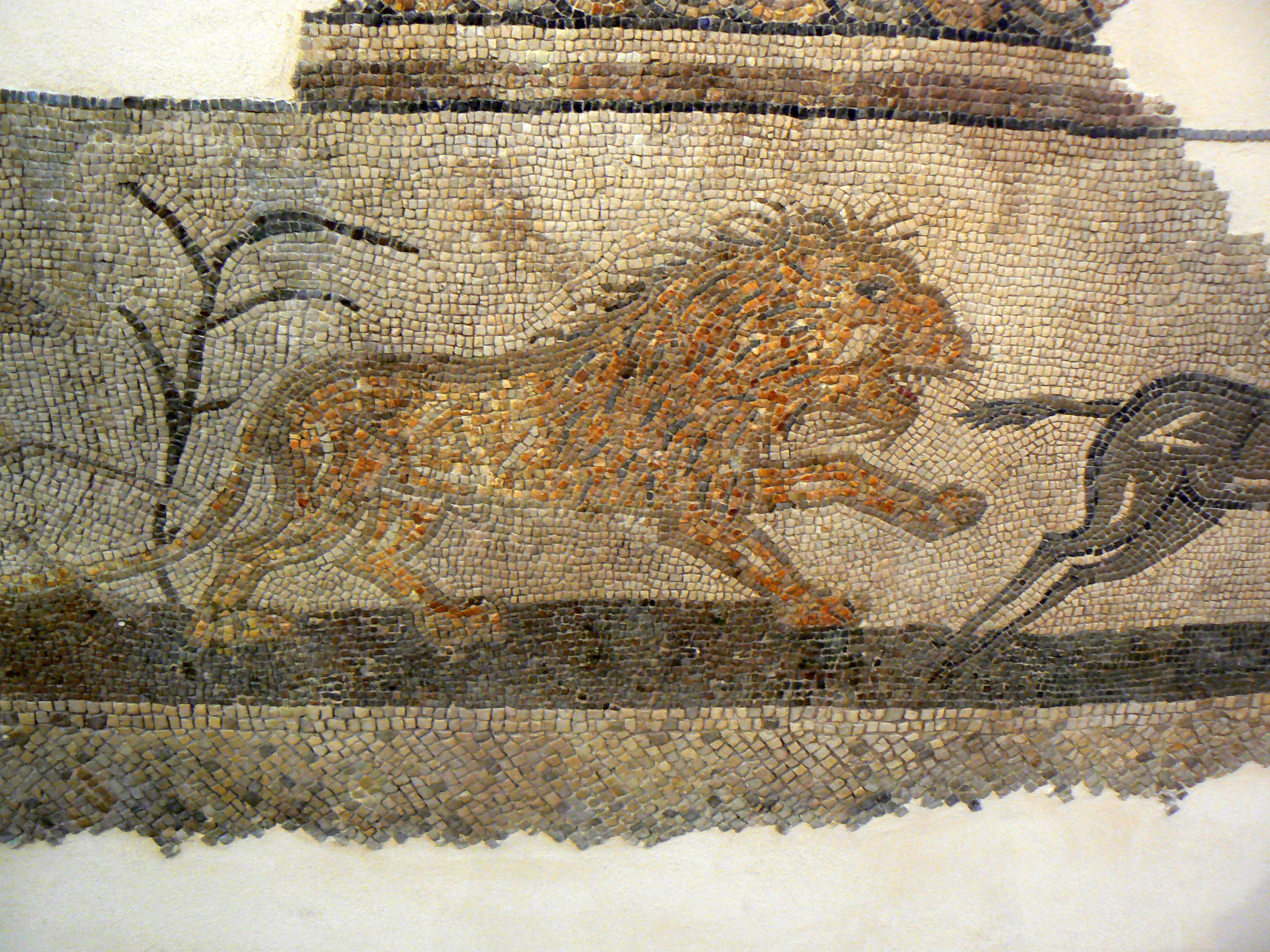 photo: https://upload.wikimedia.org/wikipedia/commons/e/e3/Mosaico_domus_chirurgo_1.jpg